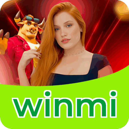 Interface winmi